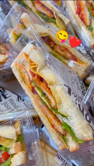 Lapak Kampus Dot Com Tilitibis Sandwich